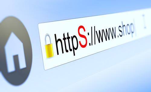 Closeup of browser bar with https typed in, padlock and shop domain name